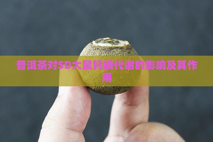 普洱茶对SD大鼠钙磷代谢的影响及其作用