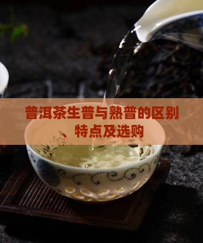 普洱茶生普与熟普的区别、特点及选购