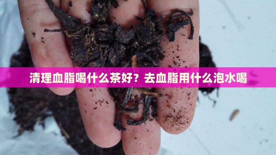 清理血脂喝什么茶好？去血脂用什么泡水喝