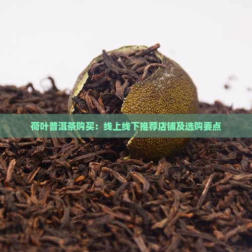 荷叶普洱茶购买：线上线下推荐店铺及选购要点