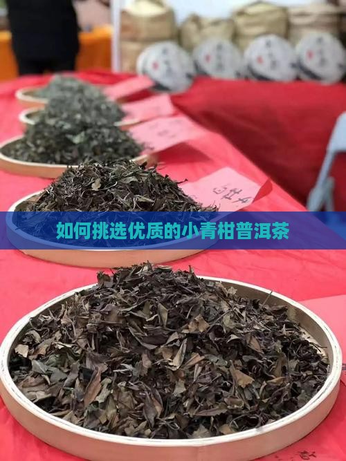 如何挑选优质的小青柑普洱茶