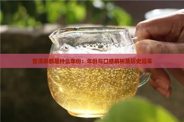 普洱茶都是什么年份：年份与口感解析及历史沿革
