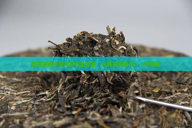 普洱熟茶冲泡与品饮全攻略：从选茶到储存，一步到位