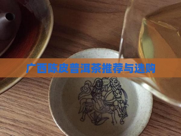 广西陈皮普洱茶推荐与选购
