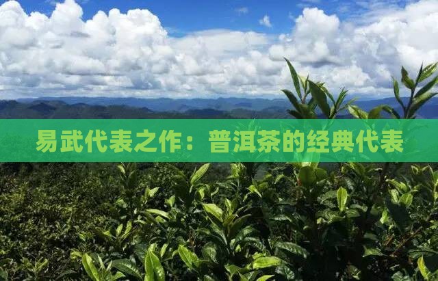 易武代表之作：普洱茶的经典代表