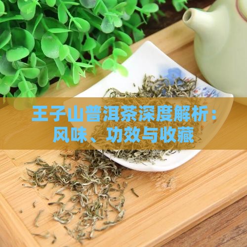 王子山普洱茶深度解析：风味、功效与收藏