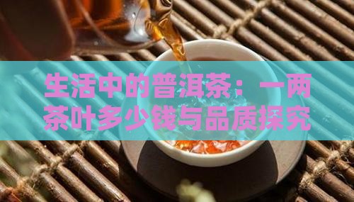 生活中的普洱茶：一两茶叶多少钱与品质探究