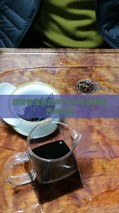 坝糯普洱茶品种2020年价格及古树特点