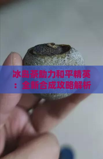 冰岛茶助力和平精英:全新合成攻略解析 冰岛茶助力和平精英:全新合成攻略解析