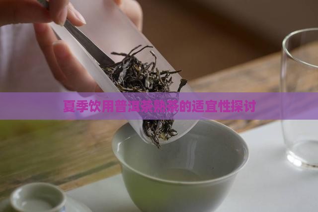 夏季饮用普洱茶熟茶的适宜性探讨