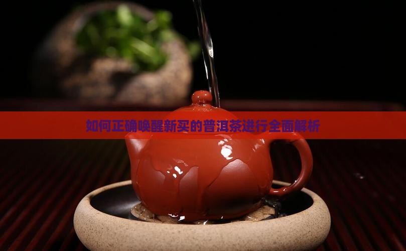 如何正确唤醒新买的普洱茶进行全面解析