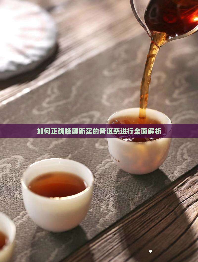 如何正确唤醒新买的普洱茶进行全面解析