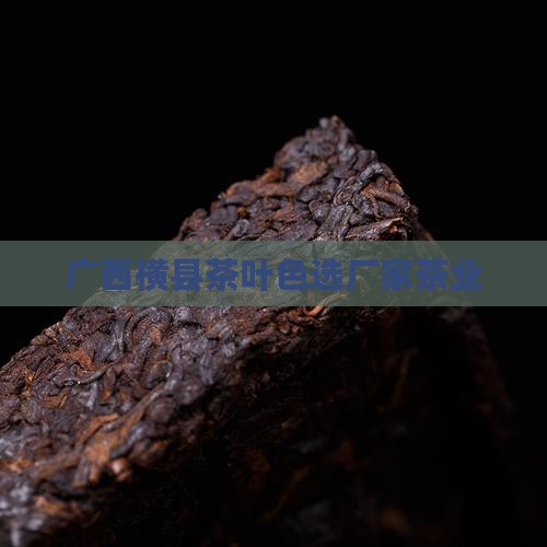 广西横县茶叶色选厂家茶业