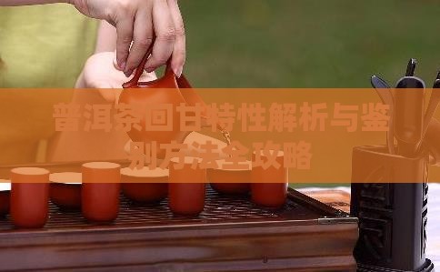 普洱茶回甘特性解析与鉴别方法全攻略