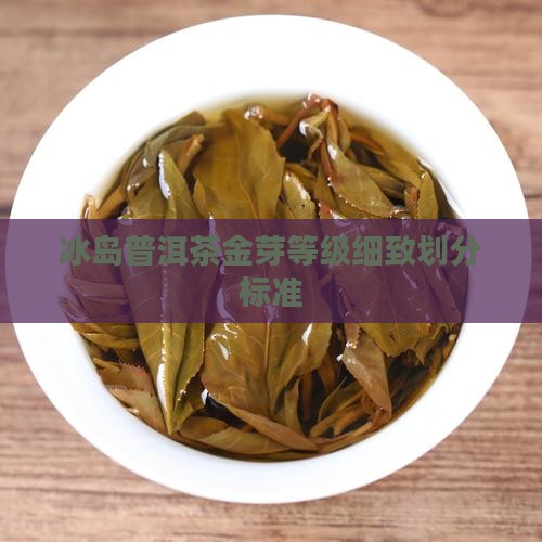 冰岛普洱茶金芽等级细致划分标准