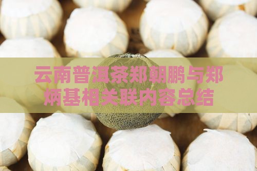 云南普洱茶郑朝鹏与郑炳基相关联内容总结