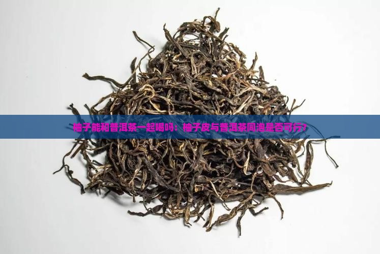 柚子能和普洱茶一起喝吗：柚子皮与普洱茶同泡是否可行？