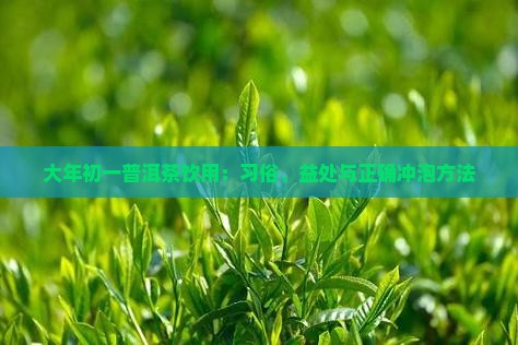 大年初一普洱茶饮用：习俗、益处与正确冲泡方法