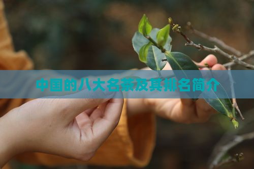 中国的八大名茶及其排名简介