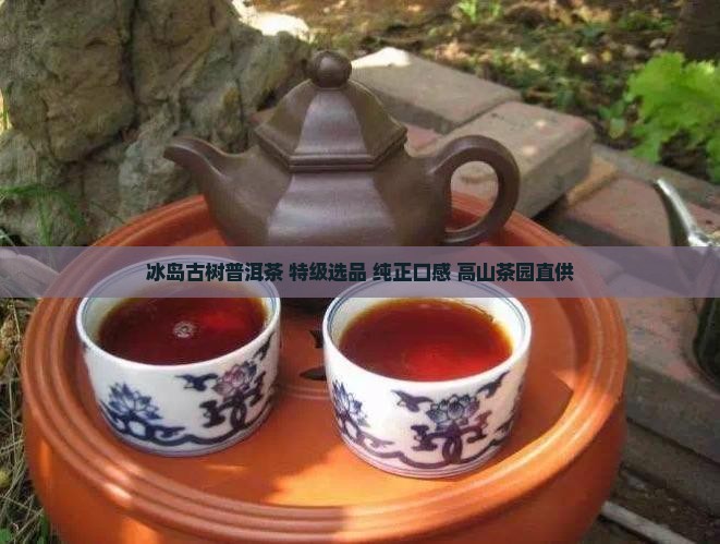冰岛古树普洱茶 特级选品 纯正口感 高山茶园直供