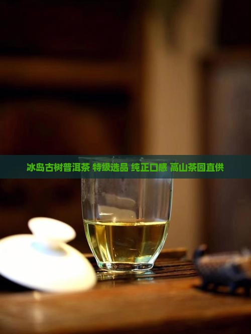 冰岛古树普洱茶 特级选品 纯正口感 高山茶园直供