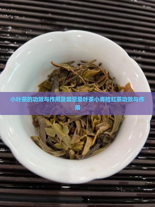 小叶茶的功效与作用及禁忌桑叶茶小青桔红茶功效与作用