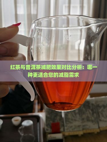 红茶与普洱茶减肥效果对比分析：哪一种更适合您的减脂需求