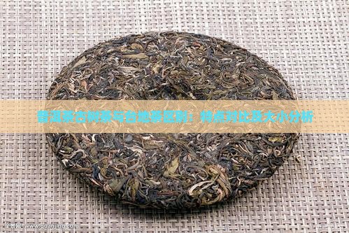 普洱茶古树茶与台地茶区别：特点对比及大小分析