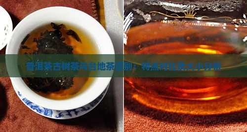普洱茶古树茶与台地茶区别：特点对比及大小分析