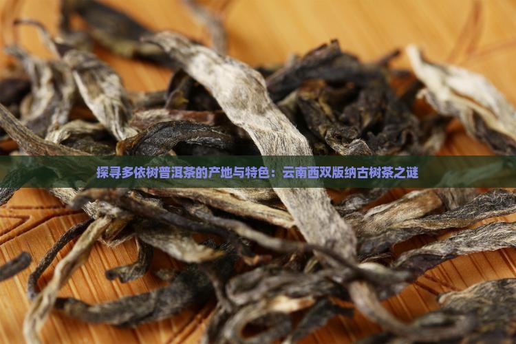 探寻多依树普洱茶的产地与特色：云南西双版纳古树茶之谜
