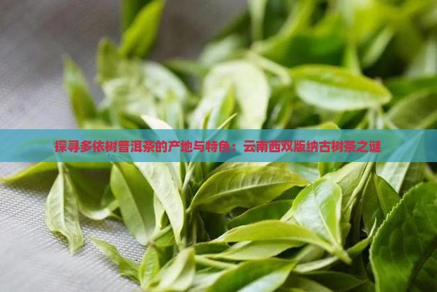 探寻多依树普洱茶的产地与特色：云南西双版纳古树茶之谜