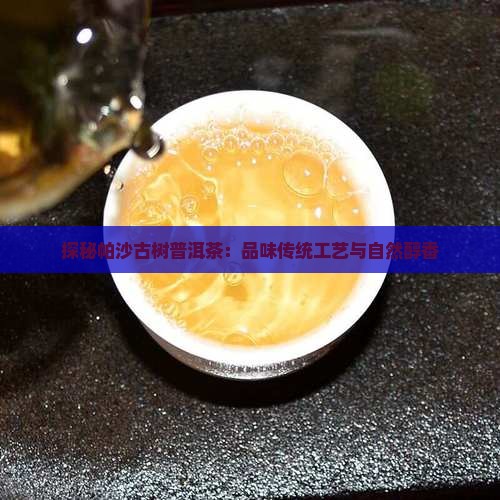 探秘帕沙古树普洱茶：品味传统工艺与自然醇香