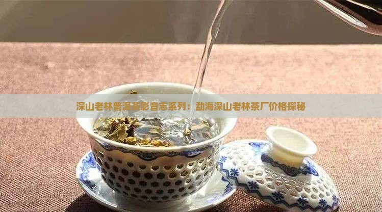 深山老林普洱茶影音志系列：勐海深山老林茶厂价格探秘