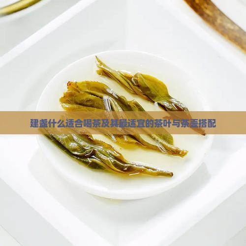 建盏什么适合喝茶及其最适宜的茶叶与茶壶搭配