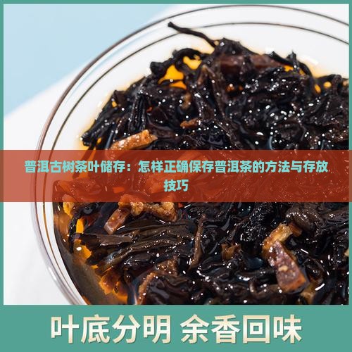 普洱古树茶叶储存：怎样正确保存普洱茶的方法与存放技巧