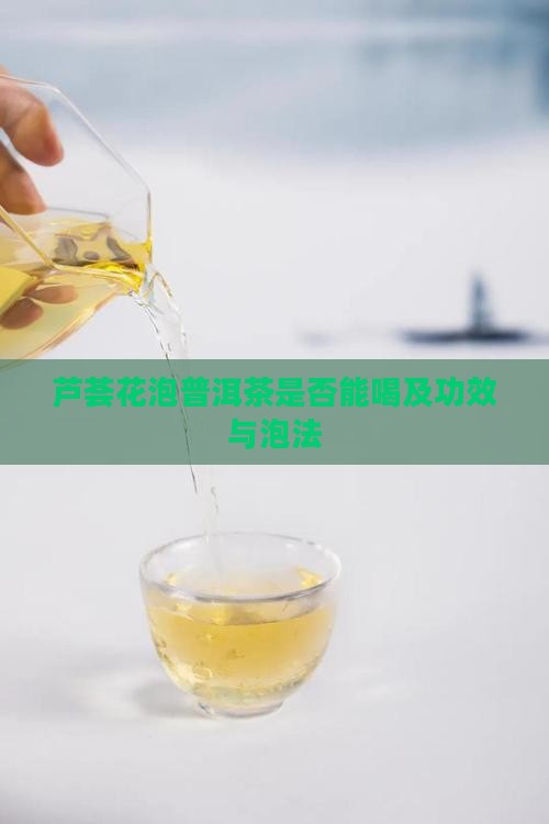 芦荟花泡普洱茶是否能喝及功效与泡法