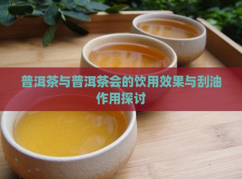 普洱茶与普洱茶会的饮用效果与刮油作用探讨