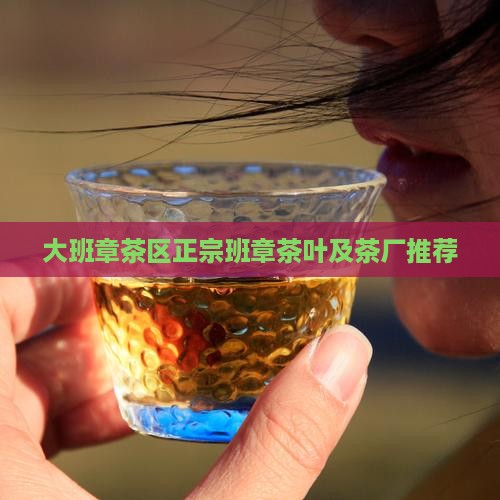 大班章茶区正宗班章茶叶及茶厂推荐