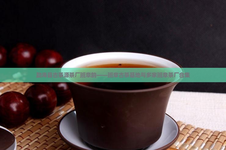 勐海县古茶源茶厂班章韵——班章古茶基地与多家班章茶厂合集
