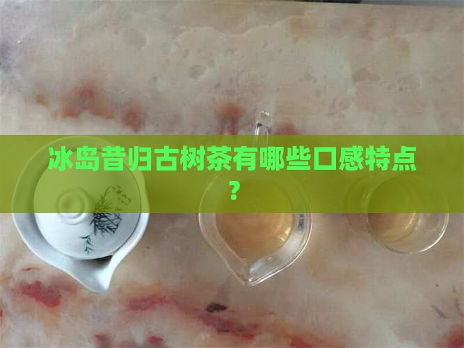 冰岛昔归古树茶有哪些口感特点？