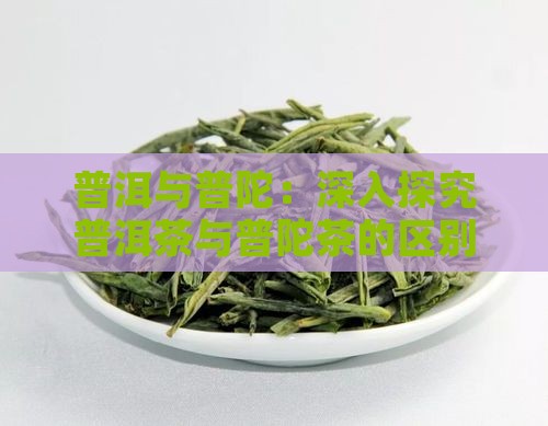 普洱与普陀：深入探究普洱茶与普陀茶的区别