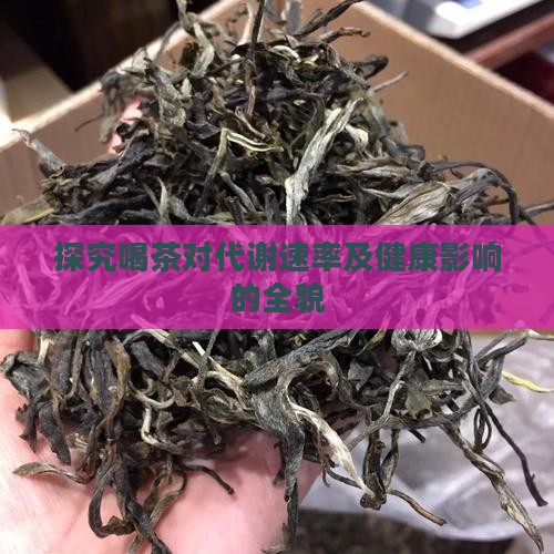 探究喝茶对代谢速率及健康影响的全貌