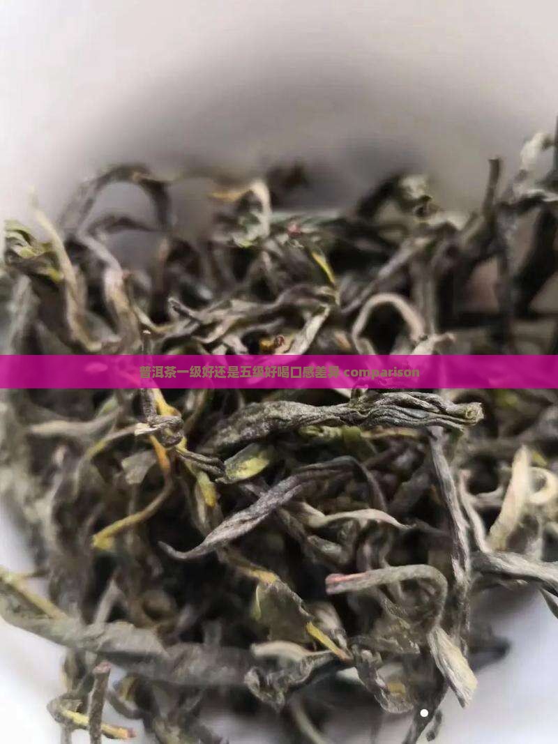 普洱茶一级好还是五级好喝口感差异 comparison