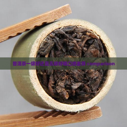 普洱茶一级好还是五级好喝口感差异 comparison