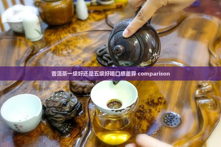 普洱茶一级好还是五级好喝口感差异 comparison
