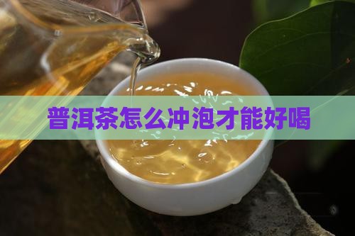 普洱茶怎么冲泡才能好喝
