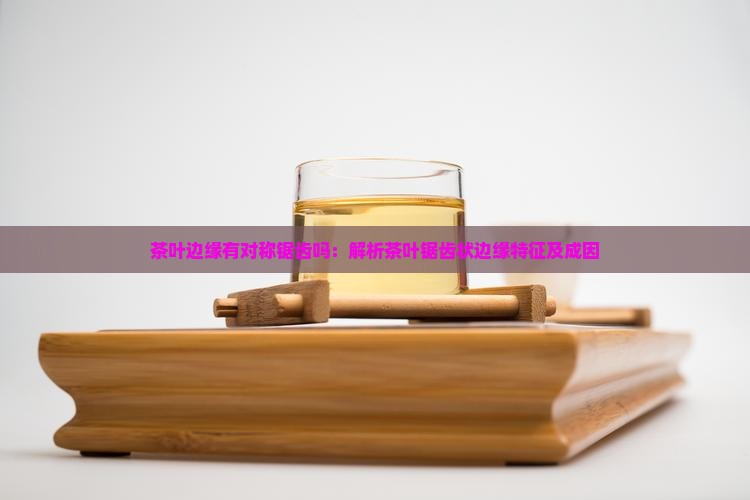 茶叶边缘有对称锯齿吗：解析茶叶锯齿状边缘特征及成因