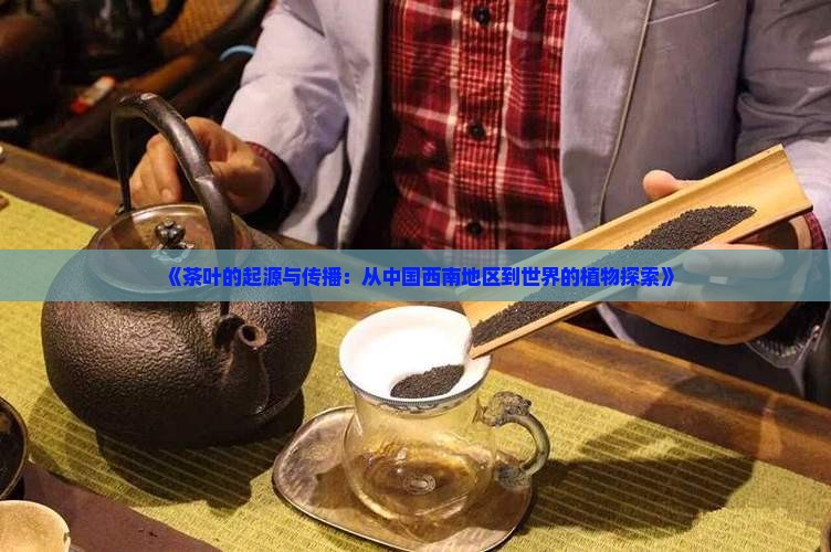 《茶叶的起源与传播：从中国西南地区到世界的植物探索》