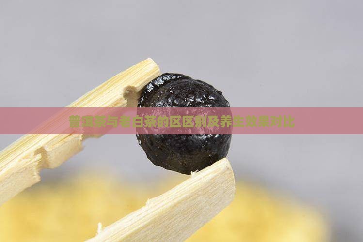 普洱茶与老白茶的区区别及养生效果对比