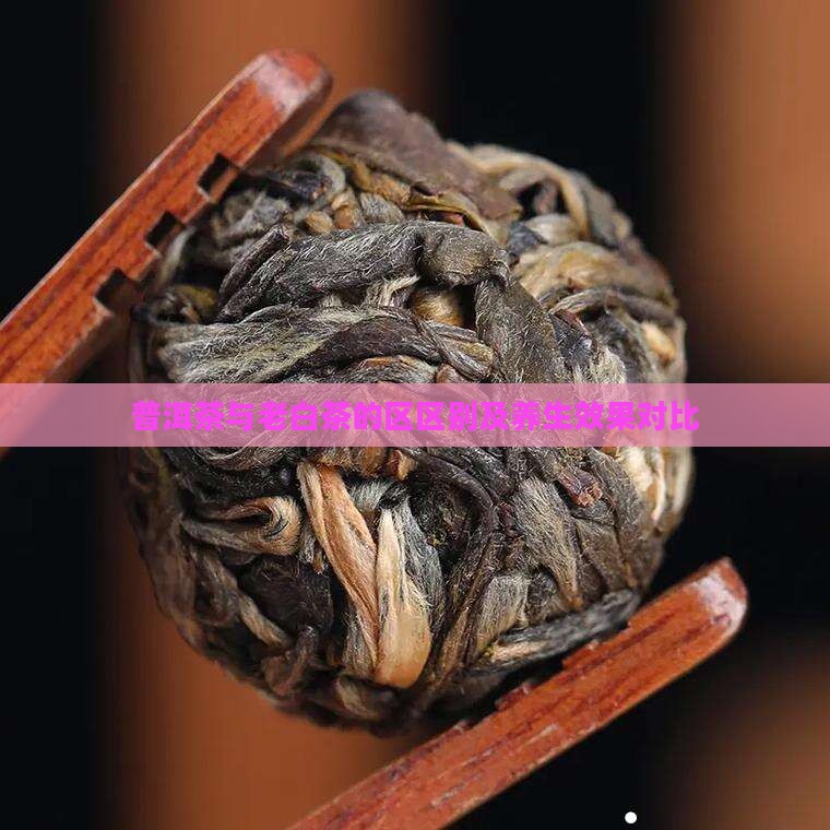 普洱茶与老白茶的区区别及养生效果对比